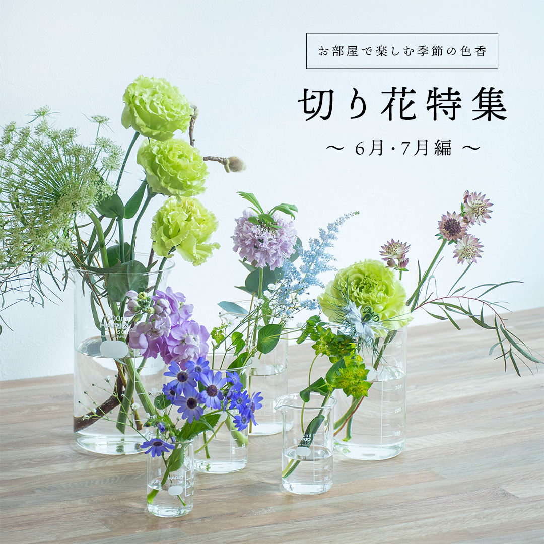 特集】切り花 - お部屋で楽しむ季節の香り - Garden Mart（ガーデン