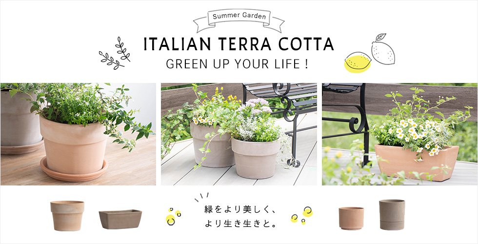 英国ハウス植木鉢 英国 Terrace&Garden キューガーデン キューポット ロングトム M