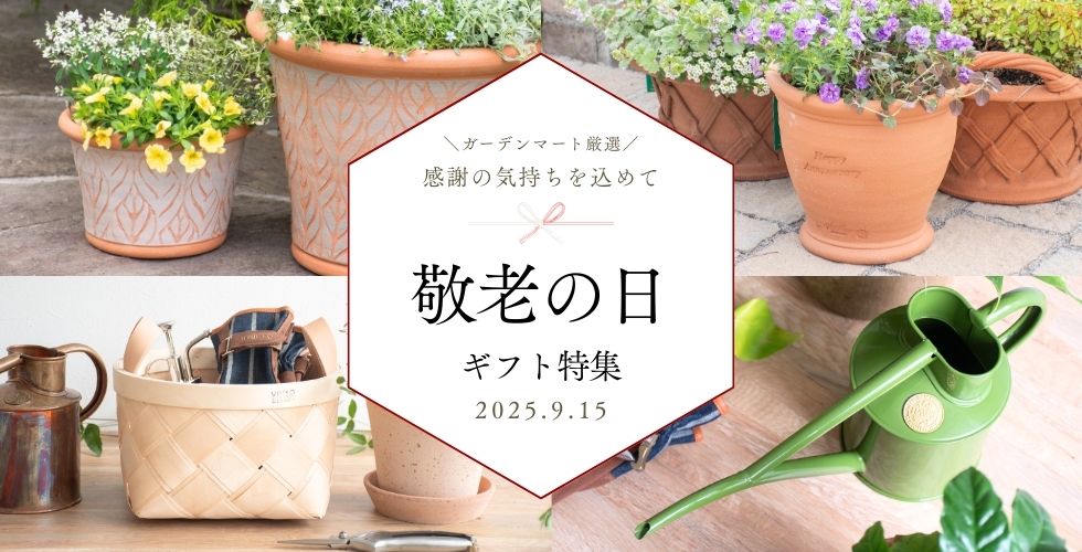カポディモンテ窯 ヴィットリオ サバディン 置物 カポディモンテ窯 ヴィットリオ サバディン 置物 - メルカリ