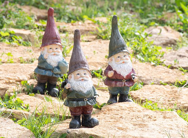 イギリス入荷予定表 - Garden Mart（ガーデンマート）-ウィッチ