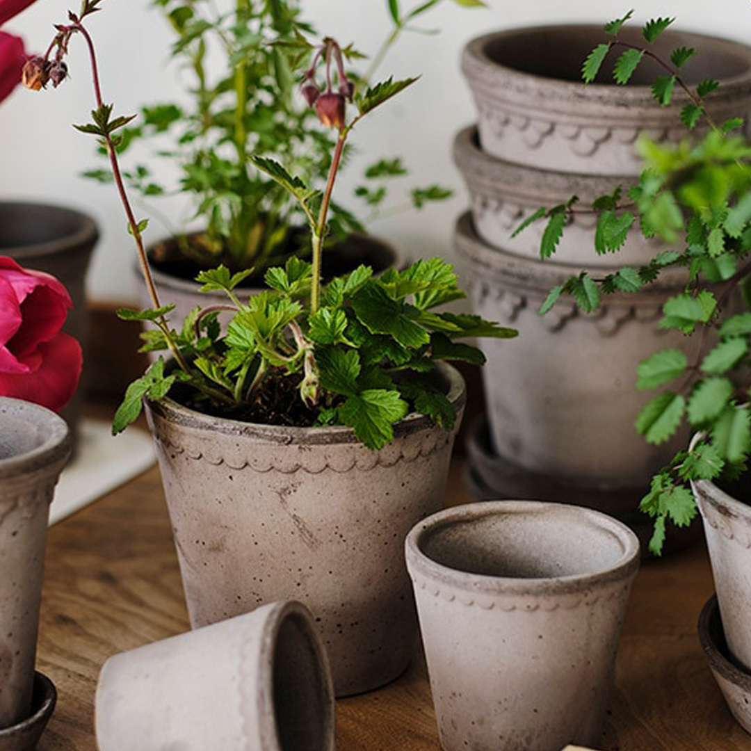テラコッタ 鉢 9号（植木鉢）｜鉢、プランター｜園芸用品 | 花