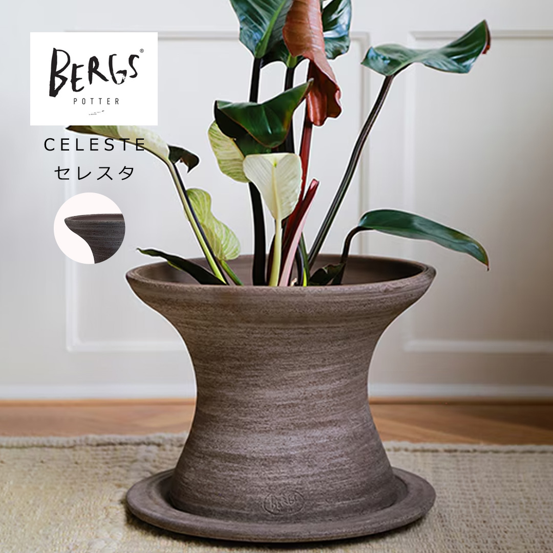 植木鉢 テラコッタ BERGS POTTER バーグスポッター セレスタポット