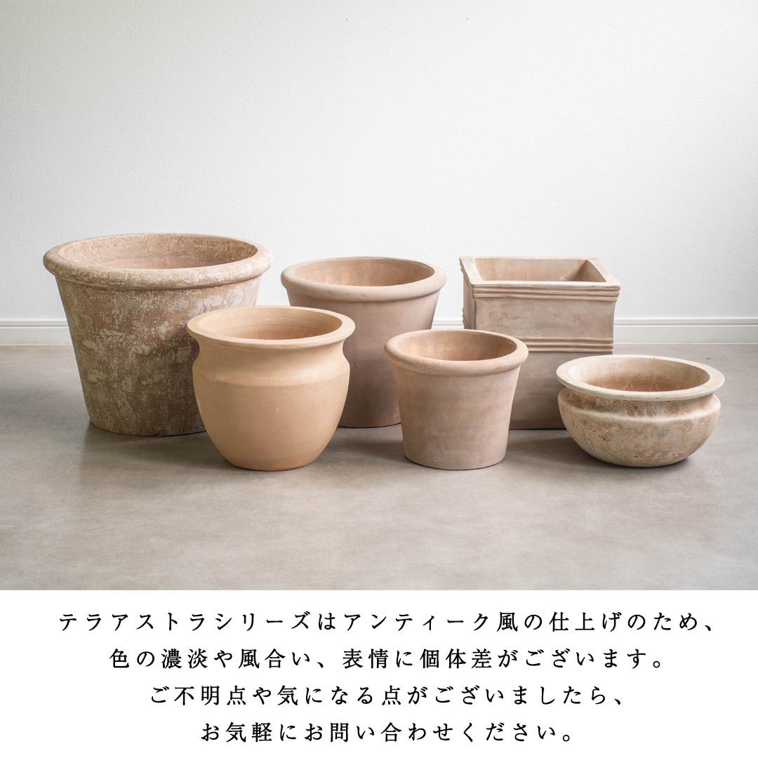 アンティーク 鉢（鉢号数：11〜15号）の商品一覧 通販 - Yahoo