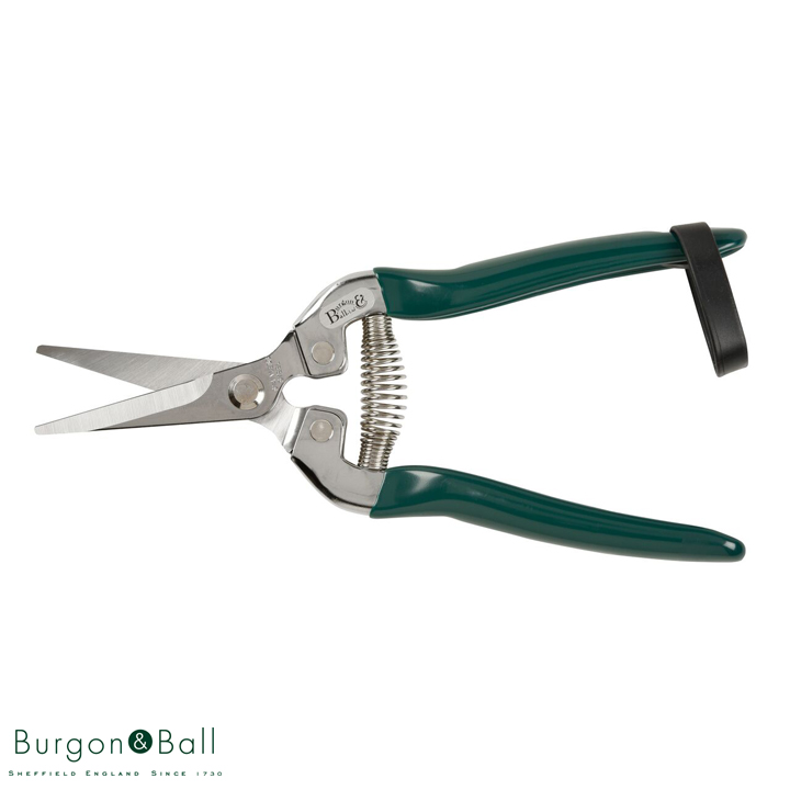 花摘み剪定ばさみ はさみ「GTO-FFS」Burgon&Ball : ガーデンマート
