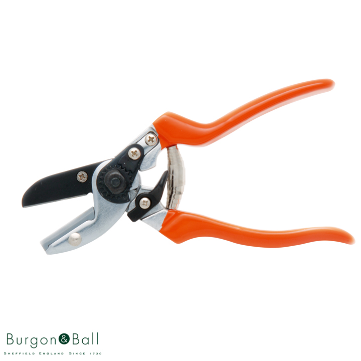 植木ばさみ「GTO-SCA」Burgon&Ball : ガーデンマート Yahoo!店