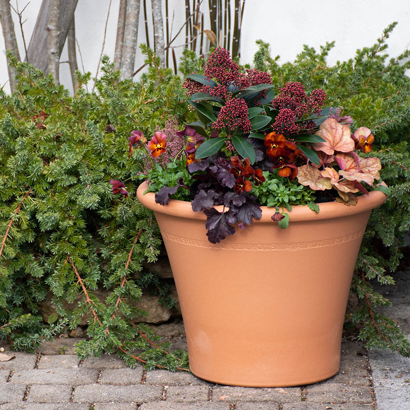 植木鉢 テラコッタ製プランター Ripon Pot リポンポット 直径43cm Yorkshire Flowerpots｜gardenmart｜04