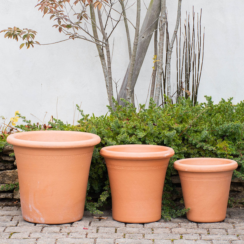 植木鉢 テラコッタ製プランター Flowerpot Medium フラワーポット