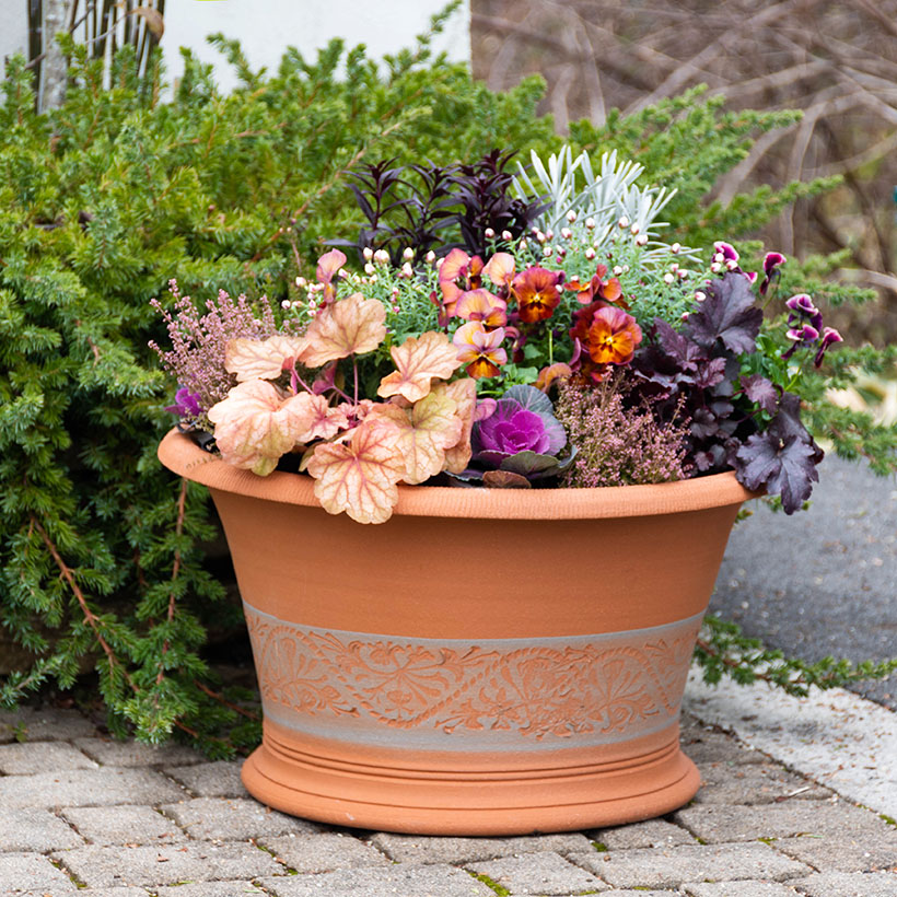 陶器製の花と鳥の植木鉢 プレゼント応募対象】 ウィッチフォード 植木鉢 Honeysuckle Halfpot