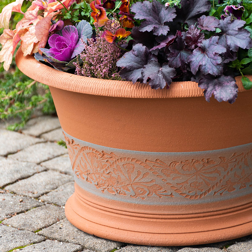 プレゼント応募対象】 ウィッチフォード 植木鉢 Honeysuckle Halfpot