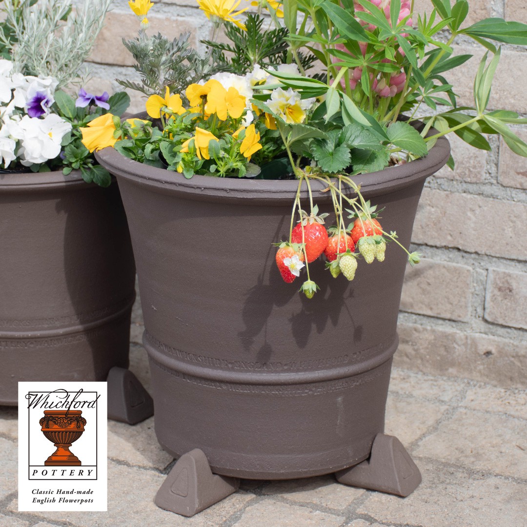 【プレゼント応募対象】 Whichford ウィッチフォード 植木鉢 バクサスポット 直径32cmサイズ チャコール Buxus Pot ガーデンマートオリジナル
