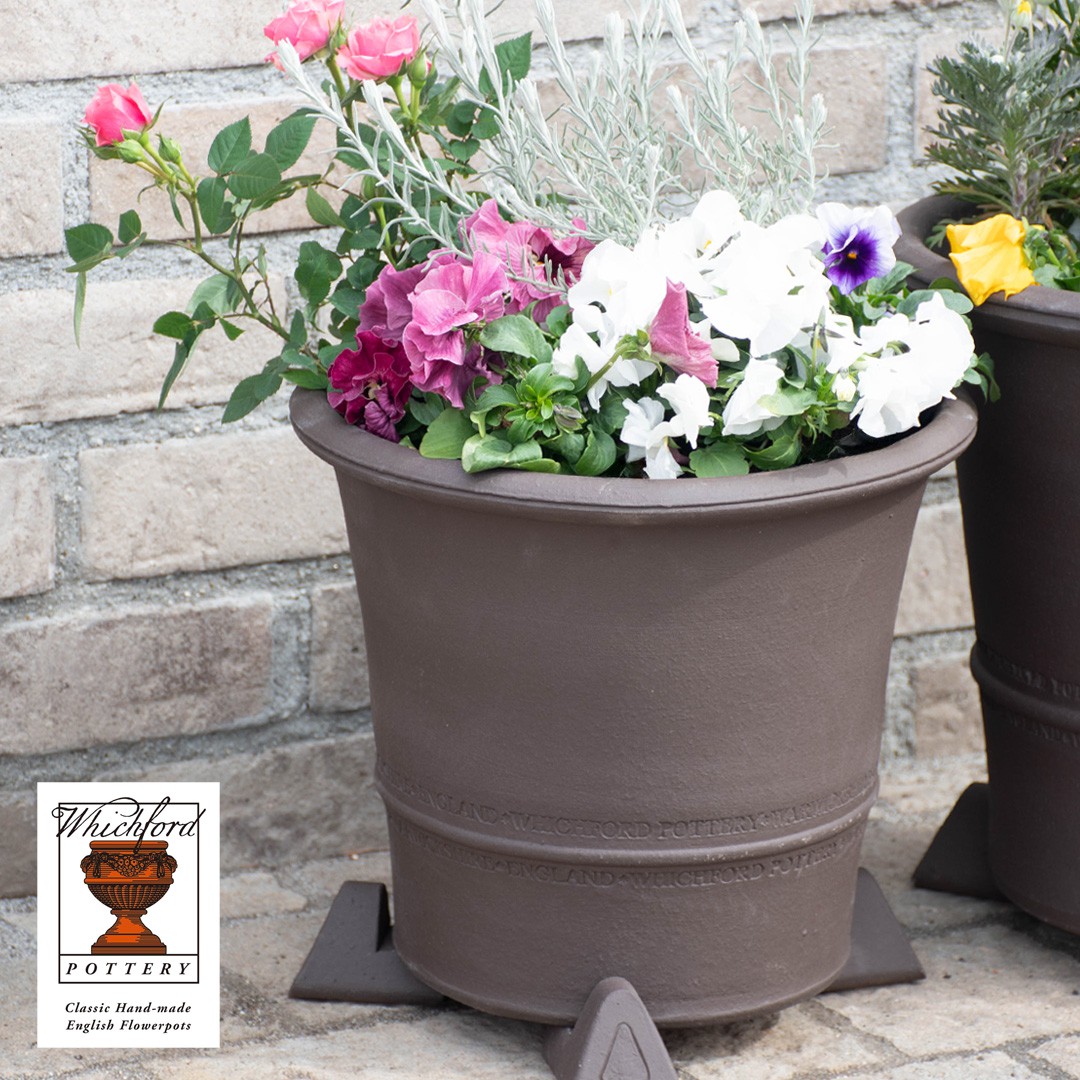 Whichford ウィッチフォード 植木鉢 バクサスポット 直径28cmサイズ チャコール Buxus Pot ガーデンマートオリジナル
