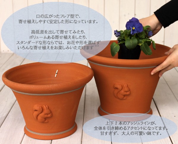 英国植木鉢コレクション3点専用です ジョニー様専用 イギリスウィッチフォードオーバル植木鉢他3点