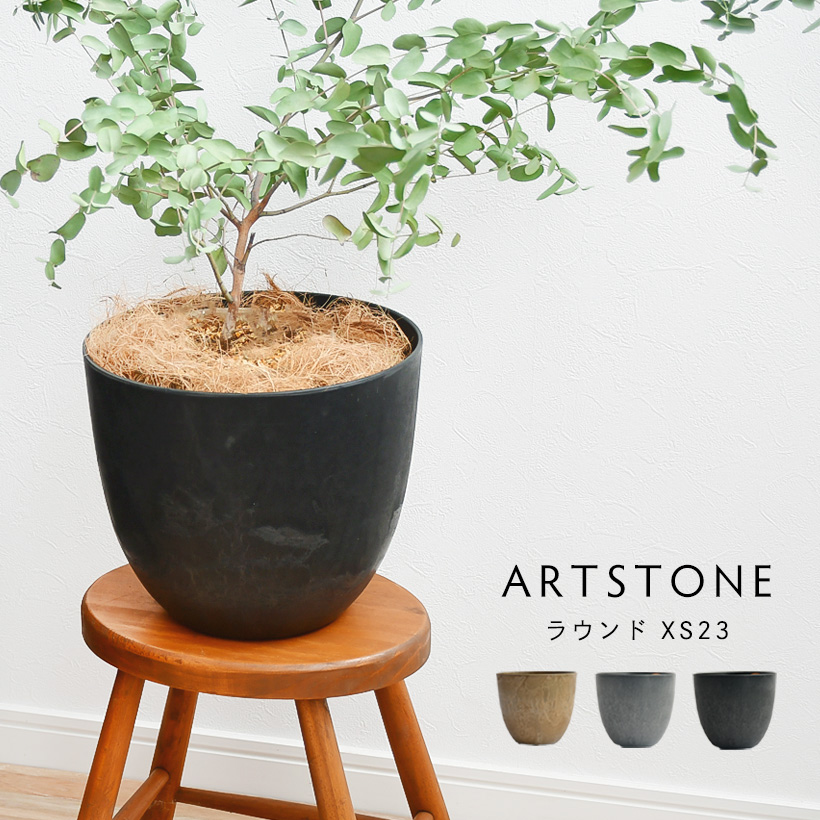 ȭ ץ󥿡ARTSTONE ȥȡ 饦XS ľ23cm 7