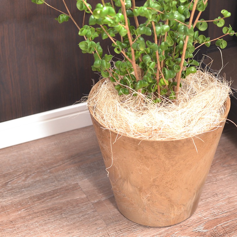 植木鉢 プランター amabro アマブロ ARTSTONE アートストーン コニック