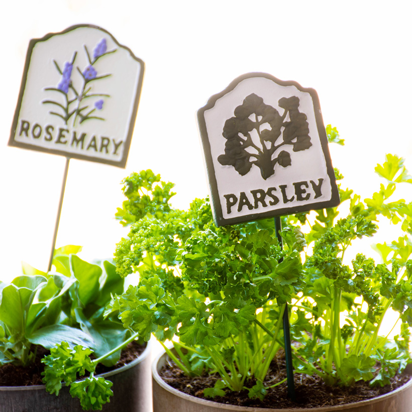 グリーンピール　ハーブ一式 Planterハーブピック グリーン : ガーデンマート Yahoo!店 - 通販