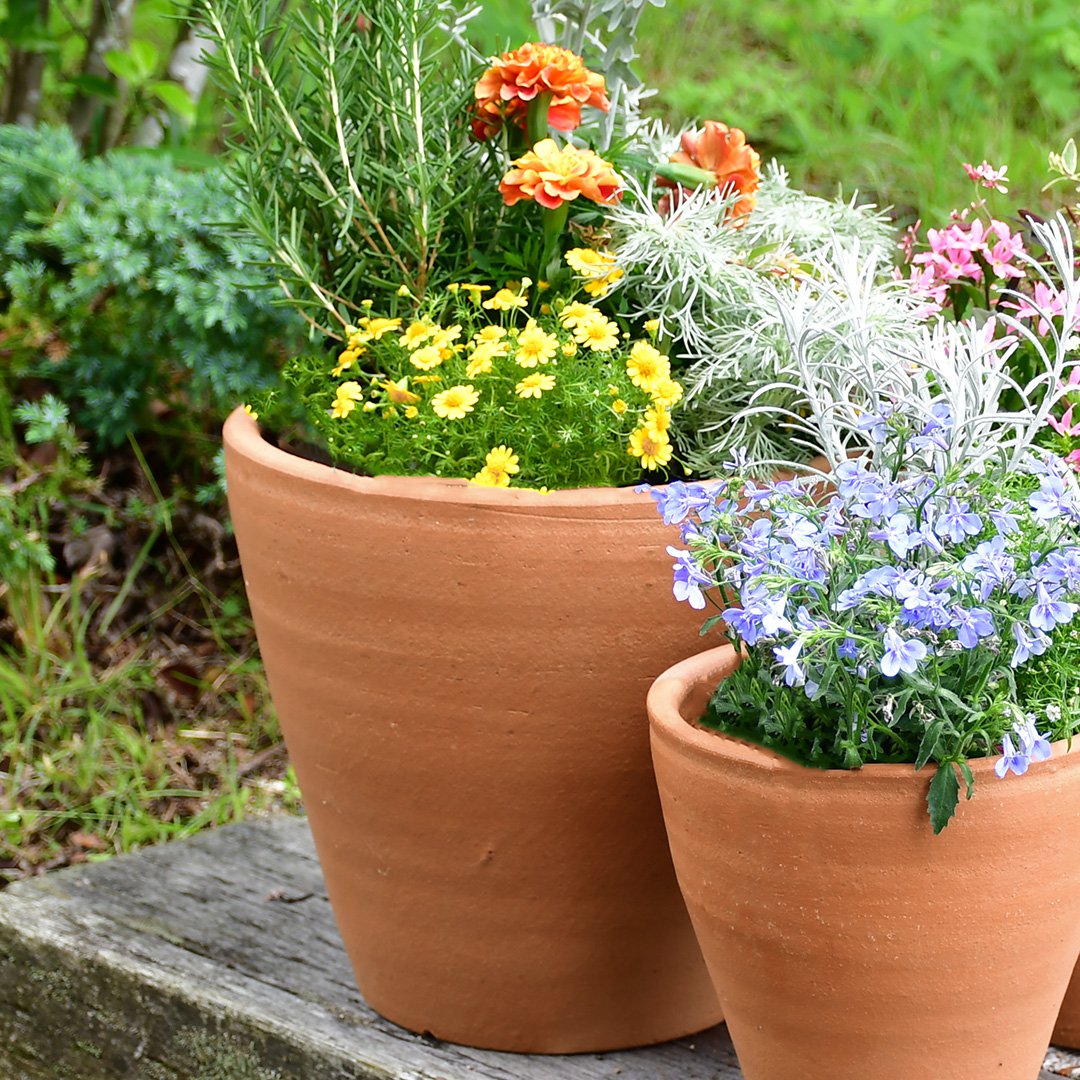 テラコッタポット✳︎植木鉢✳︎陶器観葉植物　花柄 植木鉢 テラコッタ KONTON イーシリーズ E-23 / 3サイズセット 6号 8号