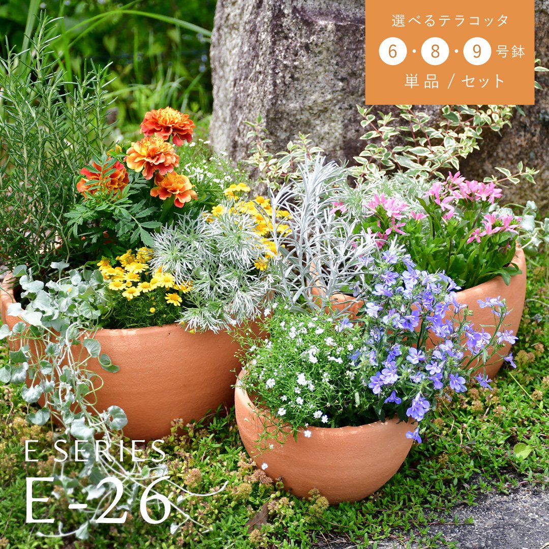 植木鉢 テラコッタ KONTON イーシリーズ E-23 / 3サイズセット 6号 8号