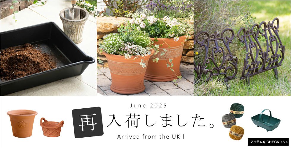 コンテナガーデニングwithウィッチフォード = Container Gard… 絶版の『Container Gardening with Whichford』が『コンテナ