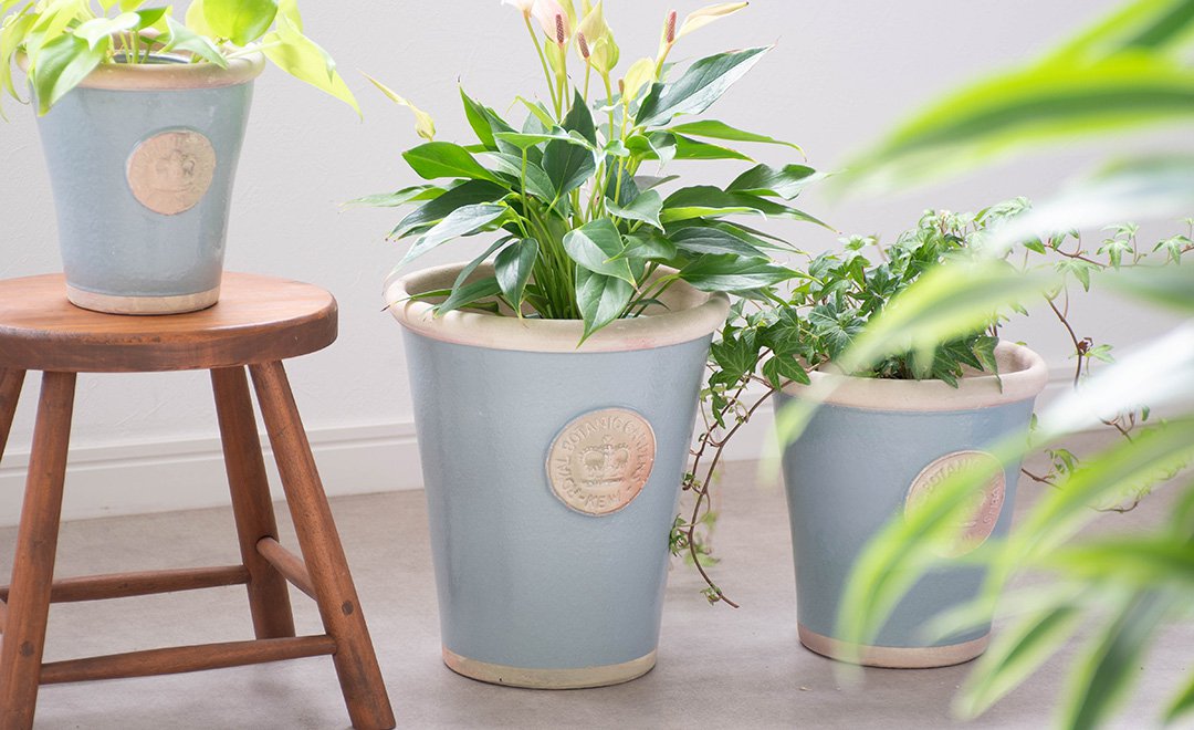 キューガーデン マルチカバー
 川島織物セルコ 楽天市場】キューガーデン 陶器鉢 キューポット Kew Long Toms S