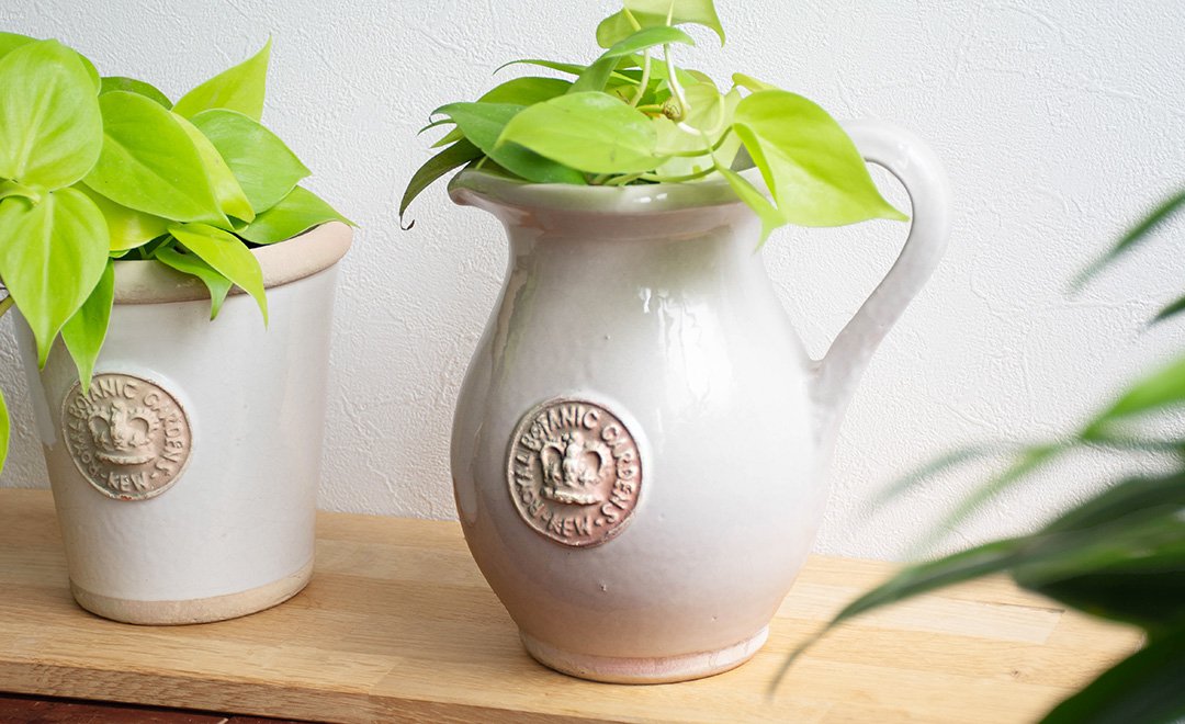 キューガーデン 陶器鉢 キューポット KEW JUG 21cm ジャグ 伝統