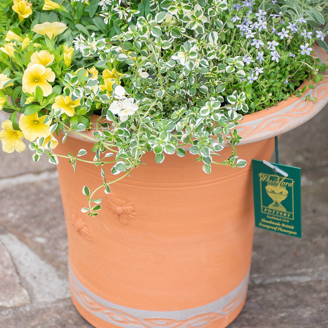 Whichford ウィッチフォード 植木鉢 Bee(蜂・ハチ) スペーシーズヘレ