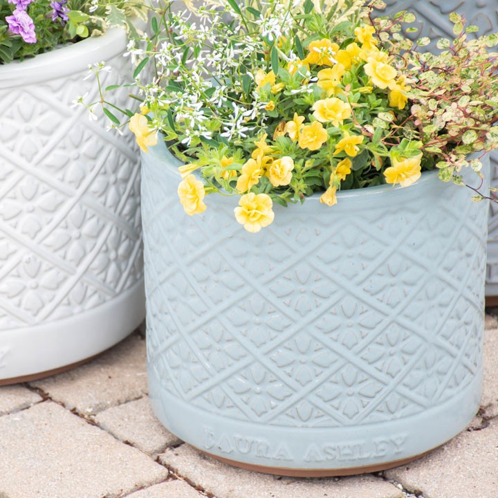 Mr Jones Cylinder 直径25cmサイズ LAURA ASHLEY PLANTER (秋のガーデニングフェア)  :laj02b:ガーデンマート Yahoo!店 - 通販 - Yahoo!ショッピング