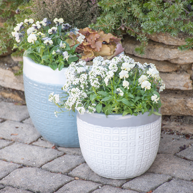 Pelham Planter 直径20cmサイズLAURA ASHLEY PLANTER :lap08a:ガーデンマート Yahoo!店 - 通販 -  Yahoo!ショッピング