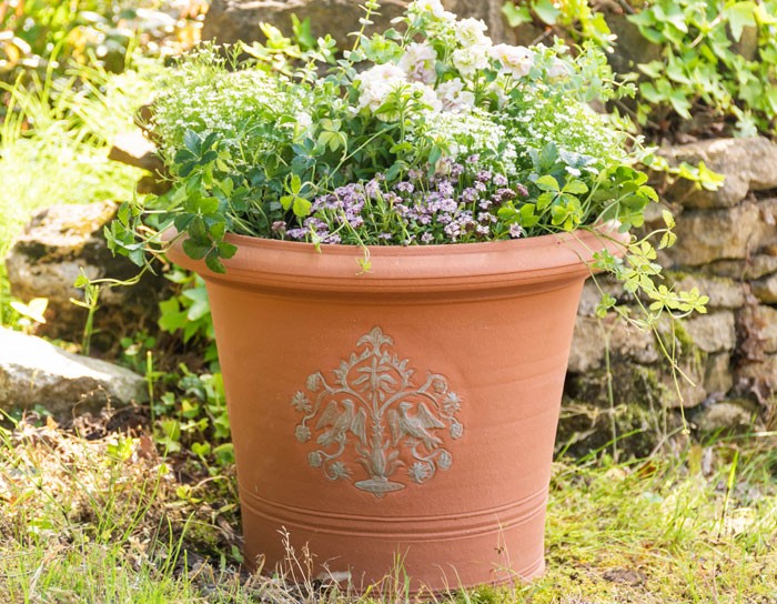 ウィッチフォード 植木鉢 ラブバーズ ポット アッシュ 直径35cmサイズ