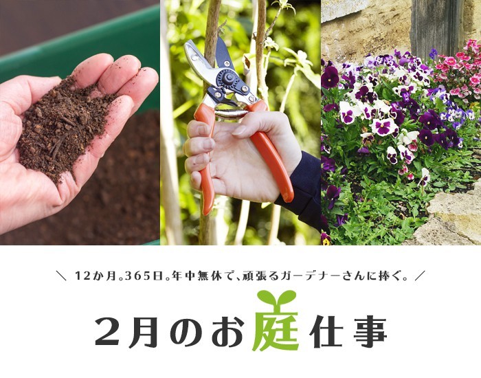 特集】2月のお庭仕事 Garden Mart（ガーデンマート）-ウィッチフォード