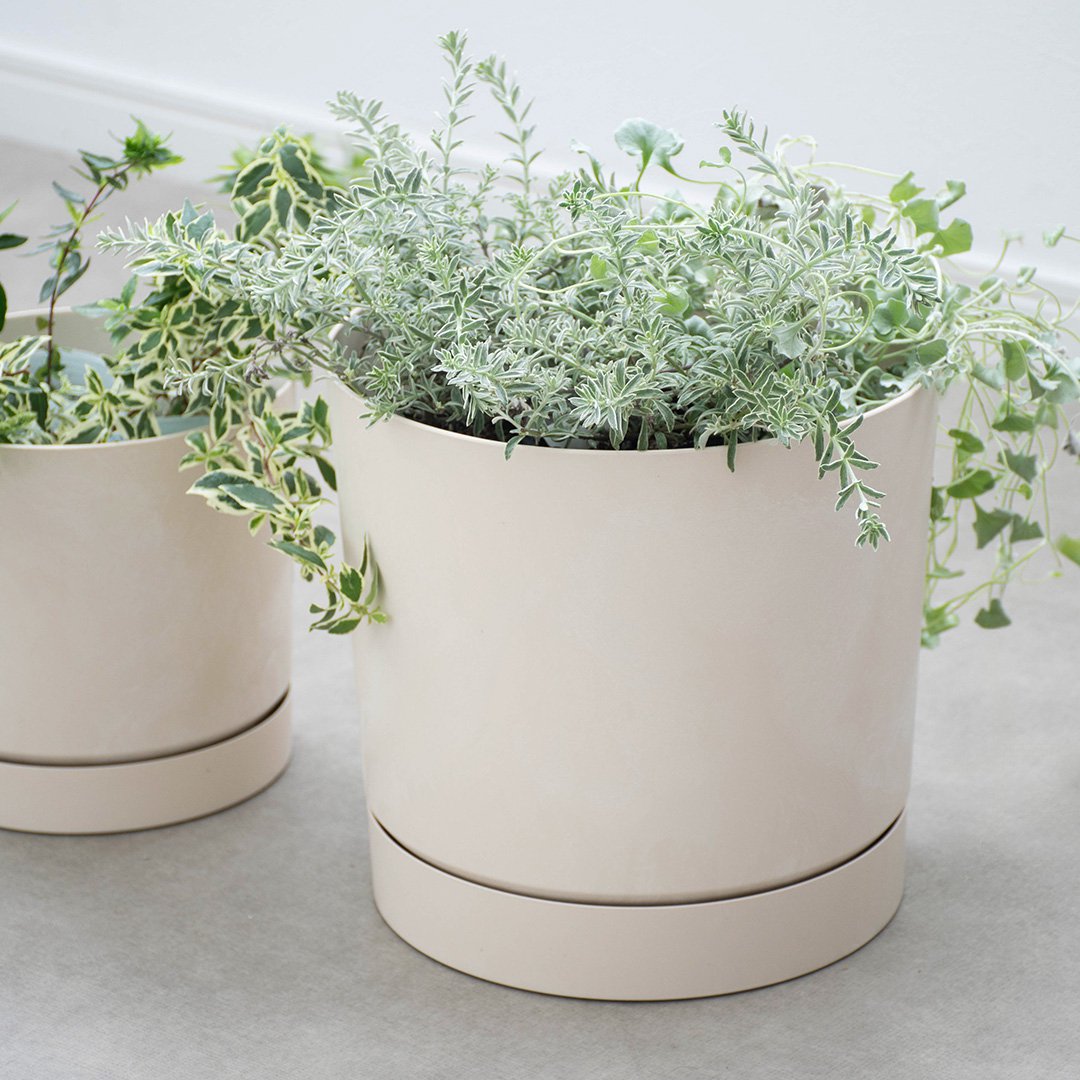 ポーランド製植木鉢 受け皿付き プロスパー トゥーボ B 24cm Sサイズ