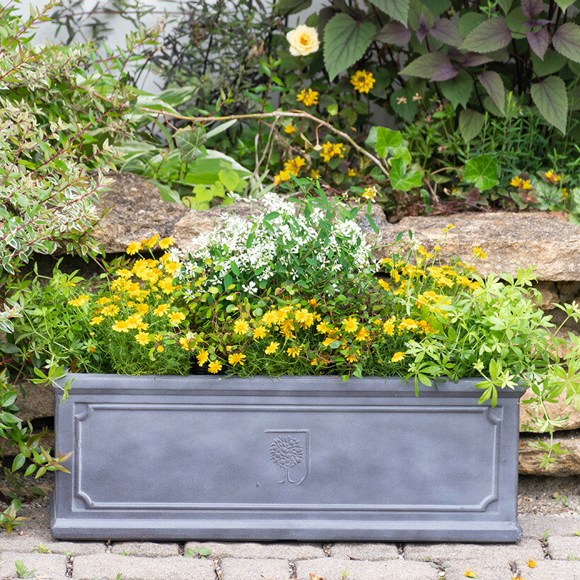 植木鉢 RHS Vintage Troughs トラフ長方形プランター 幅50cm WOODLODGE