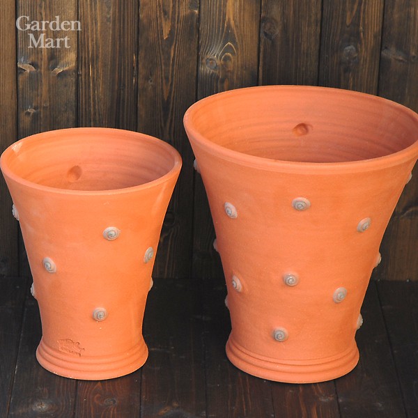 プレゼント応募対象】 ウィッチフォード 植木鉢 ドットトムズ 直径22cm