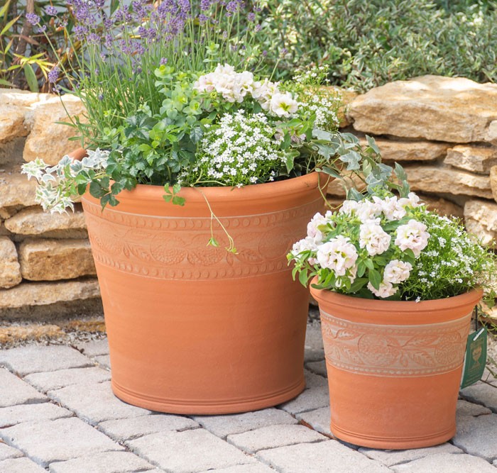 予約販売】ウィッチフォード 植木鉢 クレメンタイン ポット 直径33cm