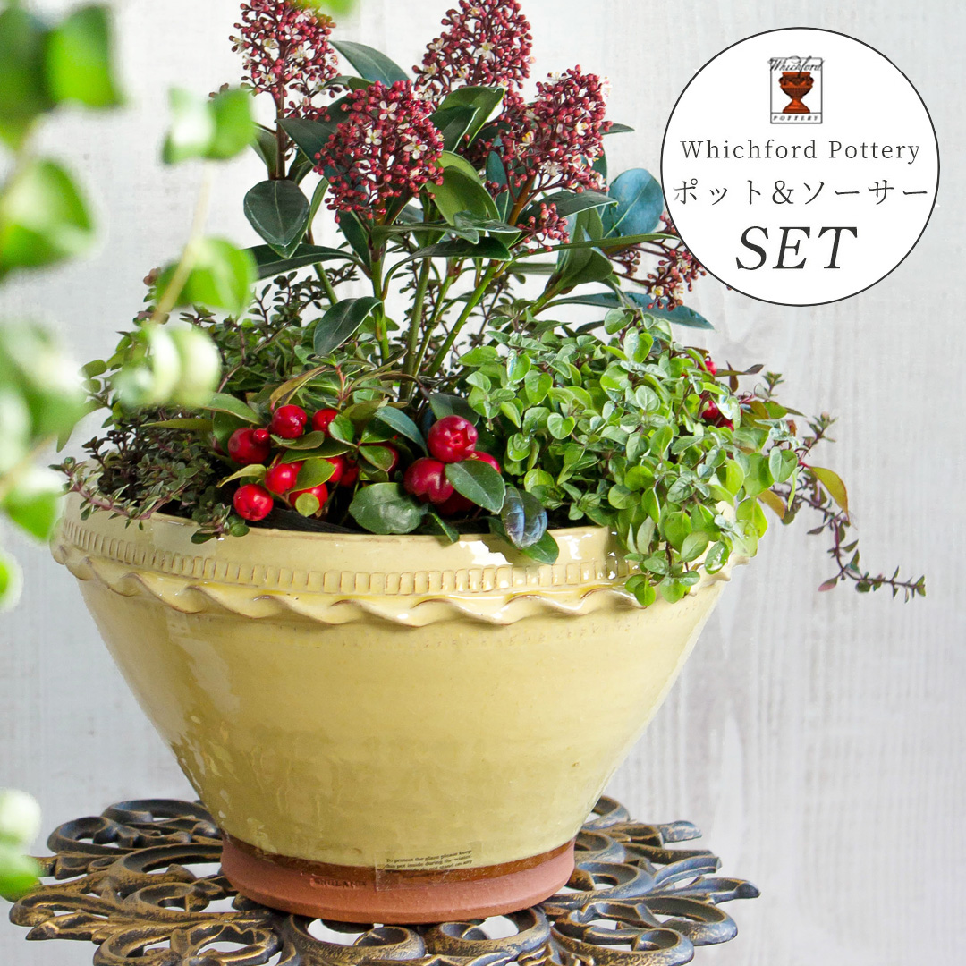 Whichford ウィッチフォード 植木鉢 受け皿付き 塗り鉢 セット グレイズド ローズボウル 直径23cm + 水受け 直径22cm（G+）