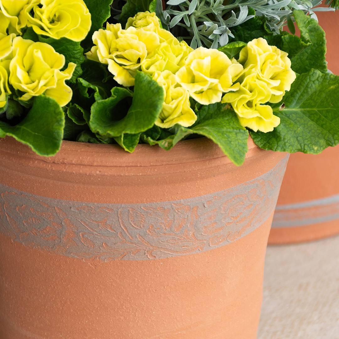 ウィッチフォード 植木鉢 ポピーポット 直径20cmサイズ Whichford