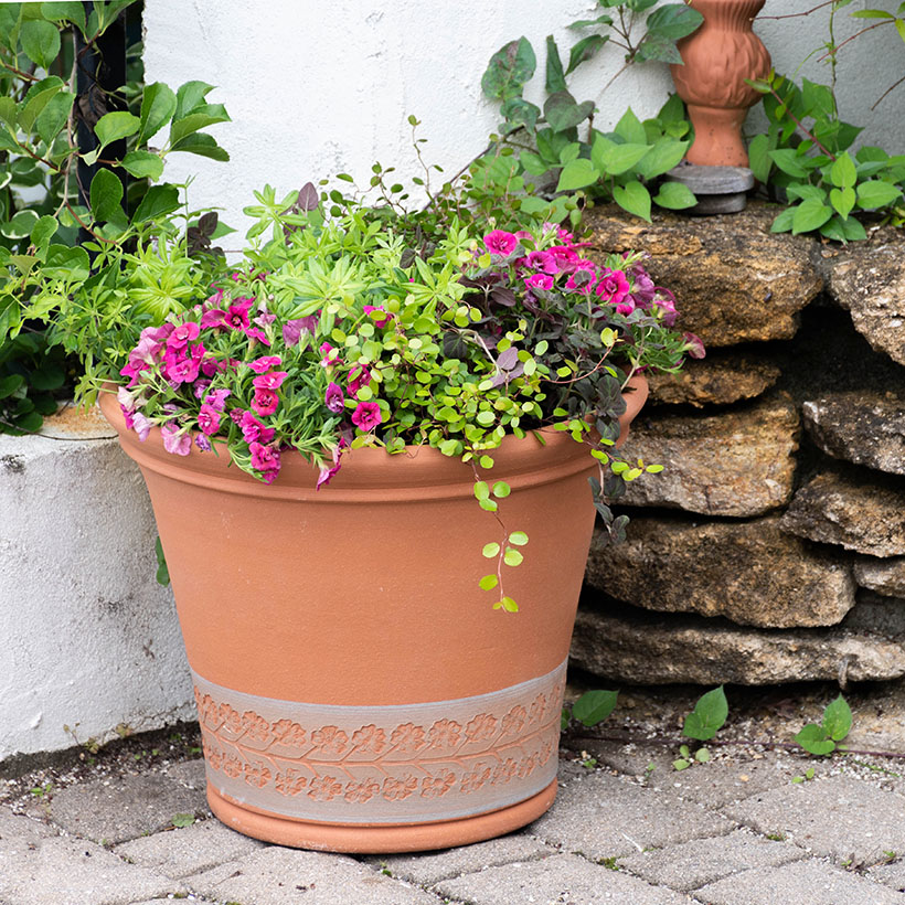 ウィッチフォード 植木鉢 バートンバンクプリムローズプランター 直径