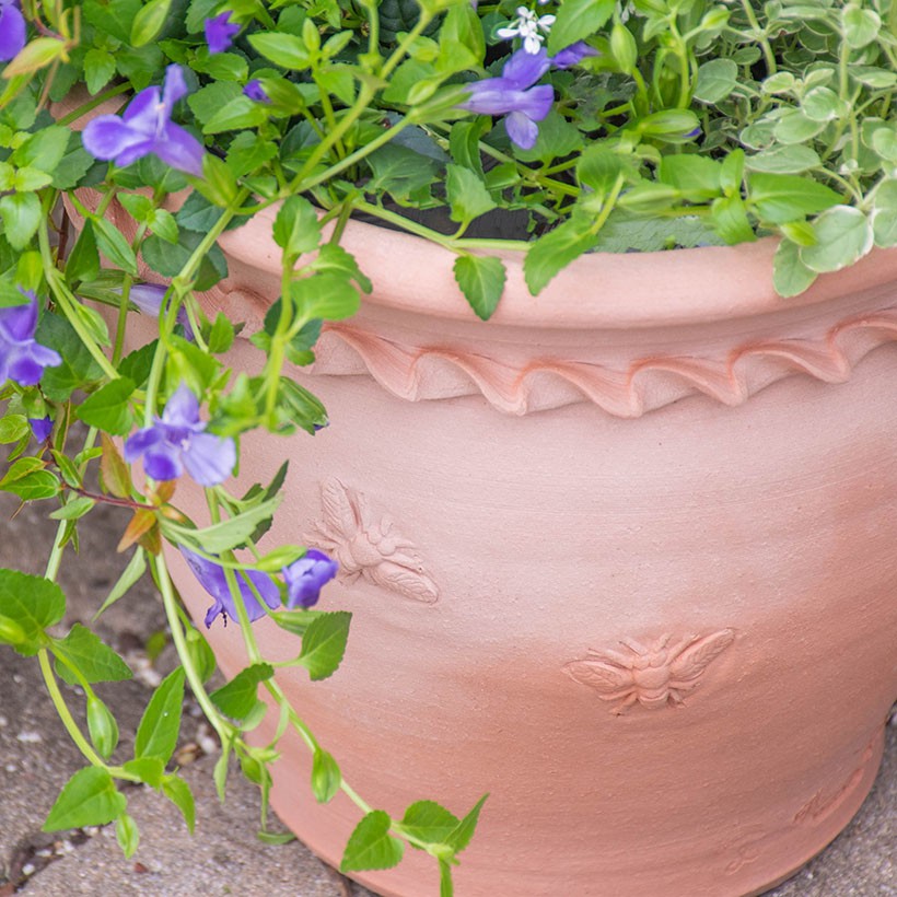 ウィッチフォード 植木鉢 Bee(蜂・ハチ)シリーズ ラウンドフラワー