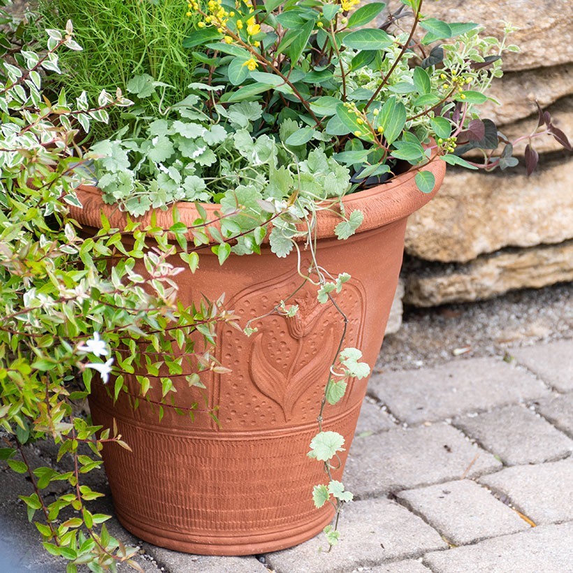 ウィッチフォード 植木鉢 堂々としたチューリップポット S 直径32cm