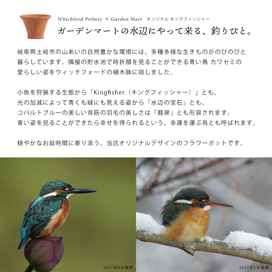 Whichford ウィッチフォード 植木鉢 キングフィッシャー フレアポット
