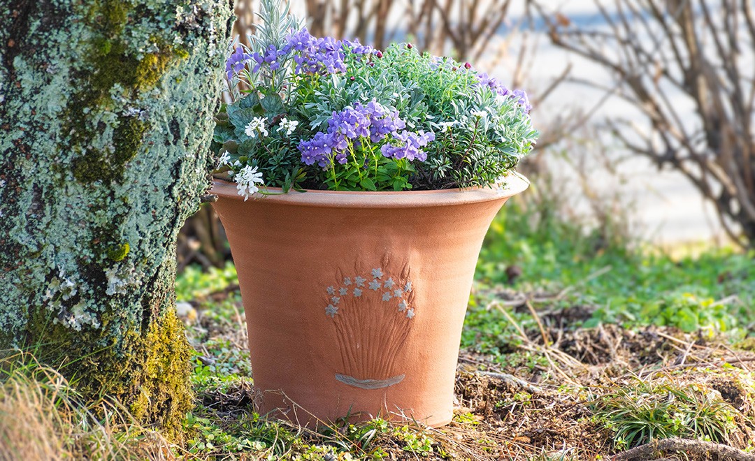 ウィッチフォード 植木鉢 大型 カマッシアポット 直径39cmサイズ