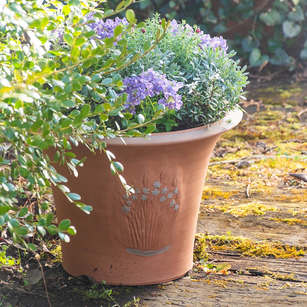 Whichford ウィッチフォード　植木鉢　大型 楽天市場】Whichford ウィッチフォード 植木鉢 大型 Platinum