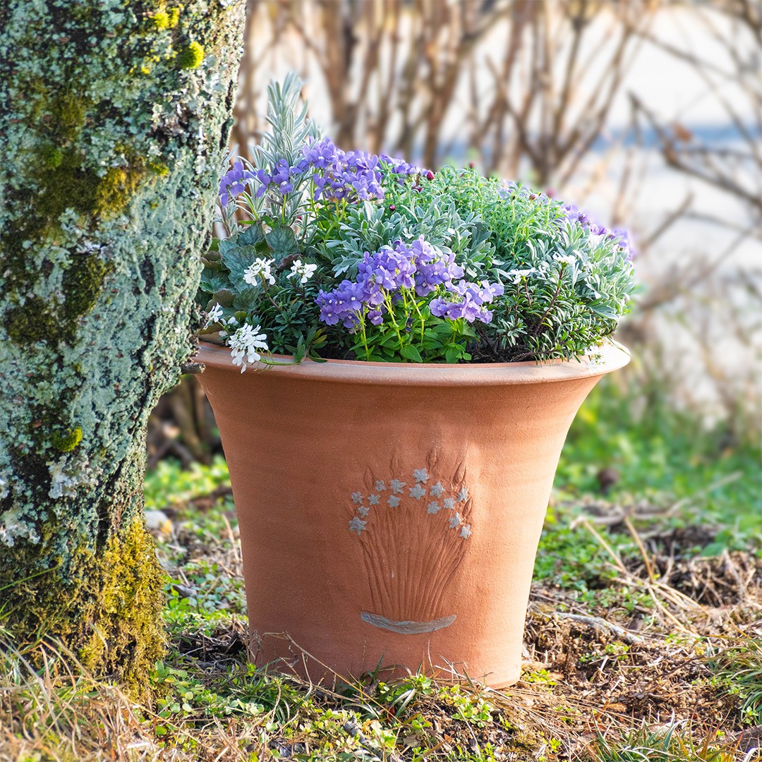 Whichford ウィッチフォード　植木鉢　大型 ウィッチフォード 植木鉢 大型 カマッシアポット 直径39cmサイズ