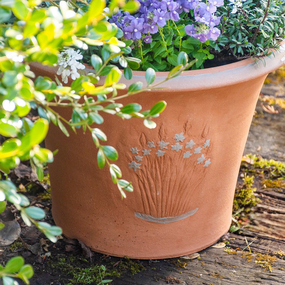 ウィッチフォード 植木鉢 大型 カマッシアポット 直径39cmサイズ