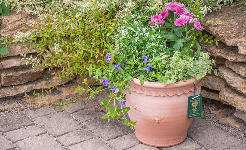 ウィッチフォード 植木鉢 Bee(蜂・ハチ)シリーズ ラウンドフラワー