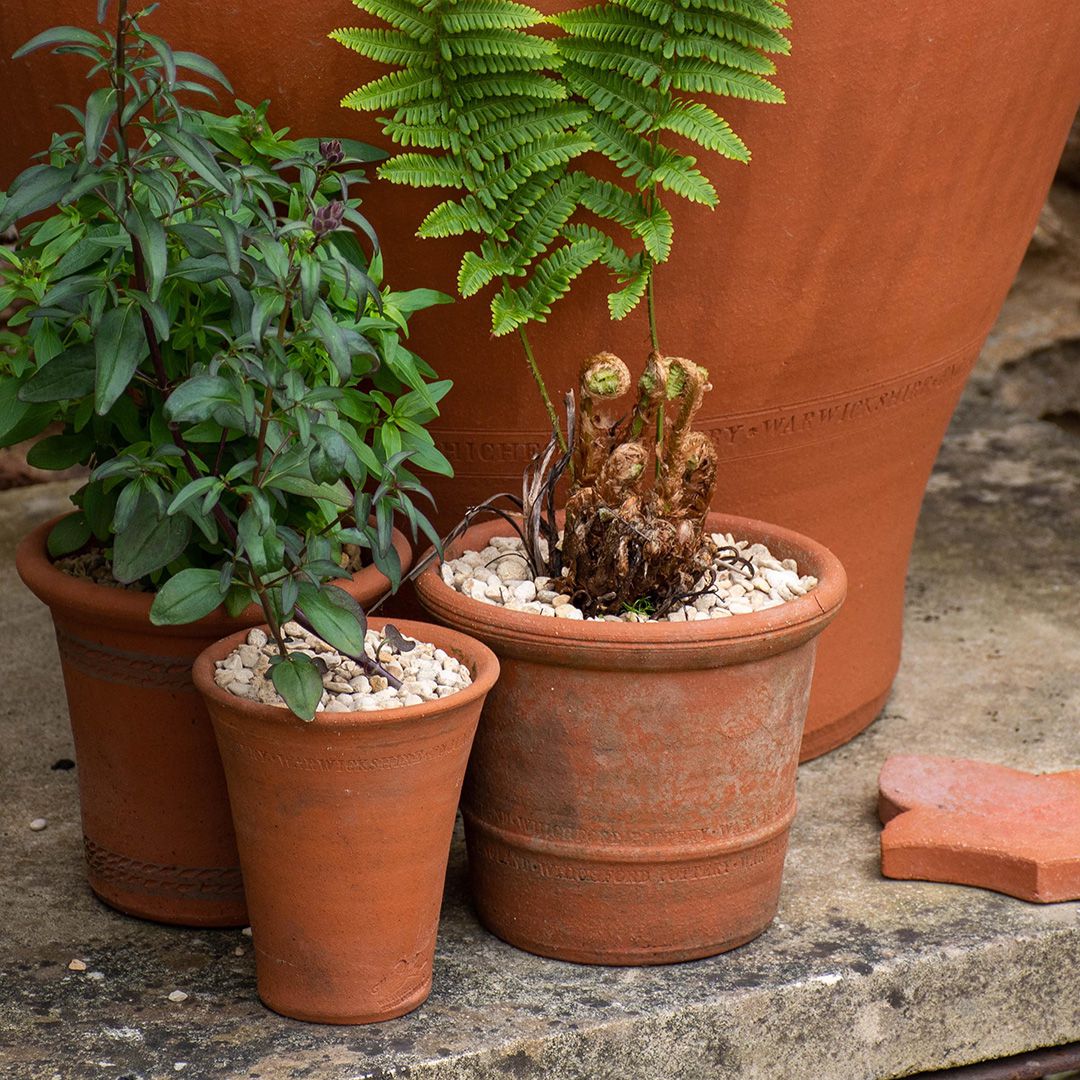 ウィッチフォード 植木鉢 バクサスポット 直径20cmサイズ Whichford 