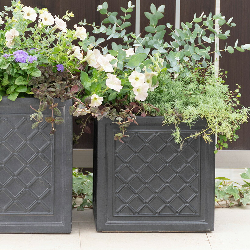 植木鉢 WINDSOR SQUARE ウィンザープランター 27cm角 WOODLODGE