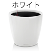 国内最安値 レチューザ・クラシコ・ジョーカー 21 (潅水セット付) (PN-LE-1021AJ-1)の画像