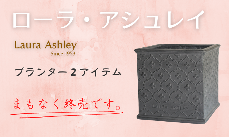 N.GARDENS☆即日発送16時まで☆専用 お家をもっと素敵に】 良い”庭”をまとうとお家がもっと素敵に
