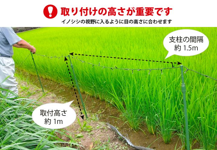 即納】魔法の光でイノシシ侵入防止 LED通せんぼ (バッテリー増強