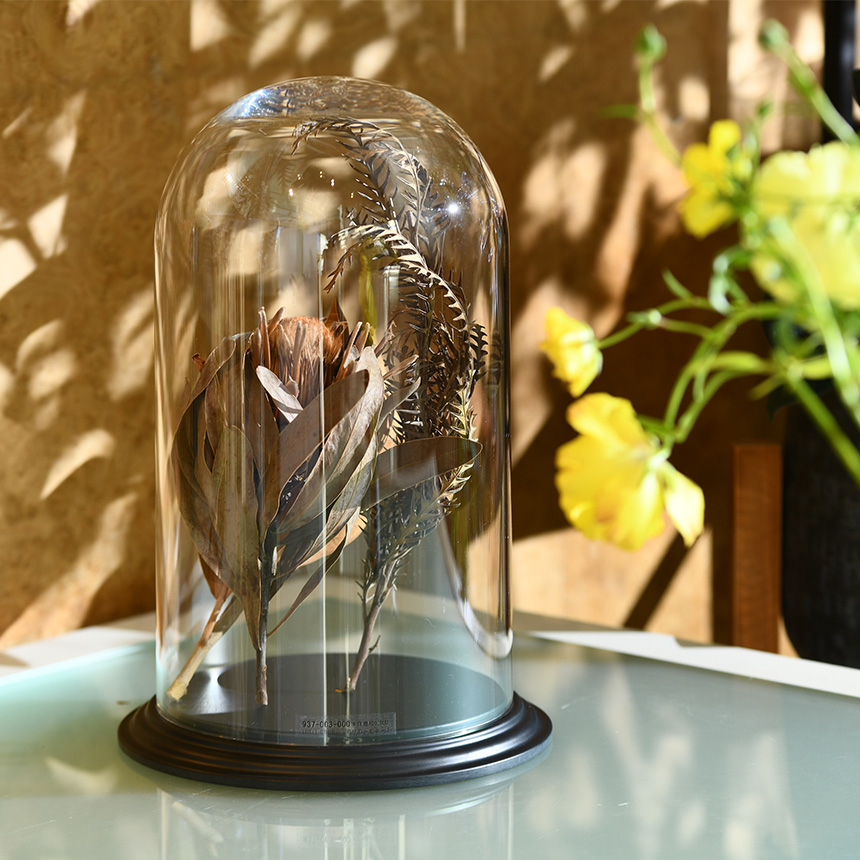 Clay（クレイ） 割れにくい 透明 飾り ドーム ディスプレイ